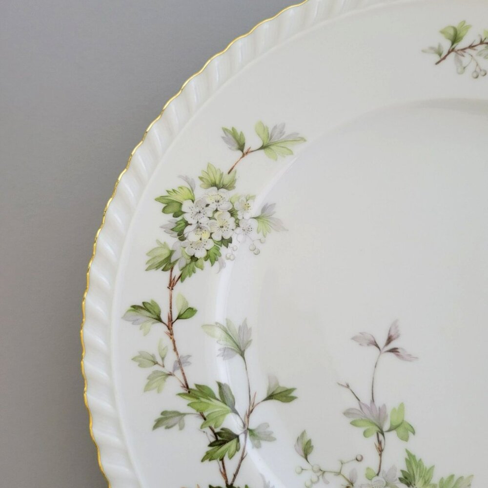 Vintage Franconia Hawthorn Dinner Plate, White Flowers & Leaves, Gadroon Border, - Picture 4 of 9